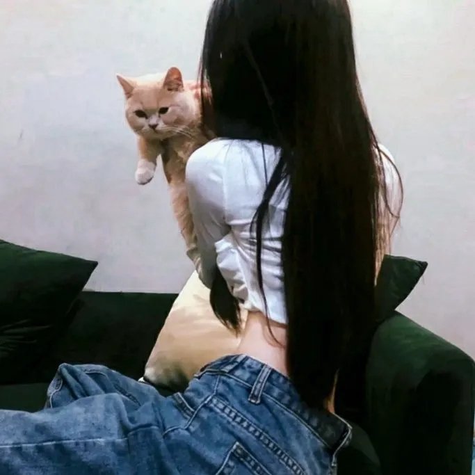 八彩林亚珍粤语